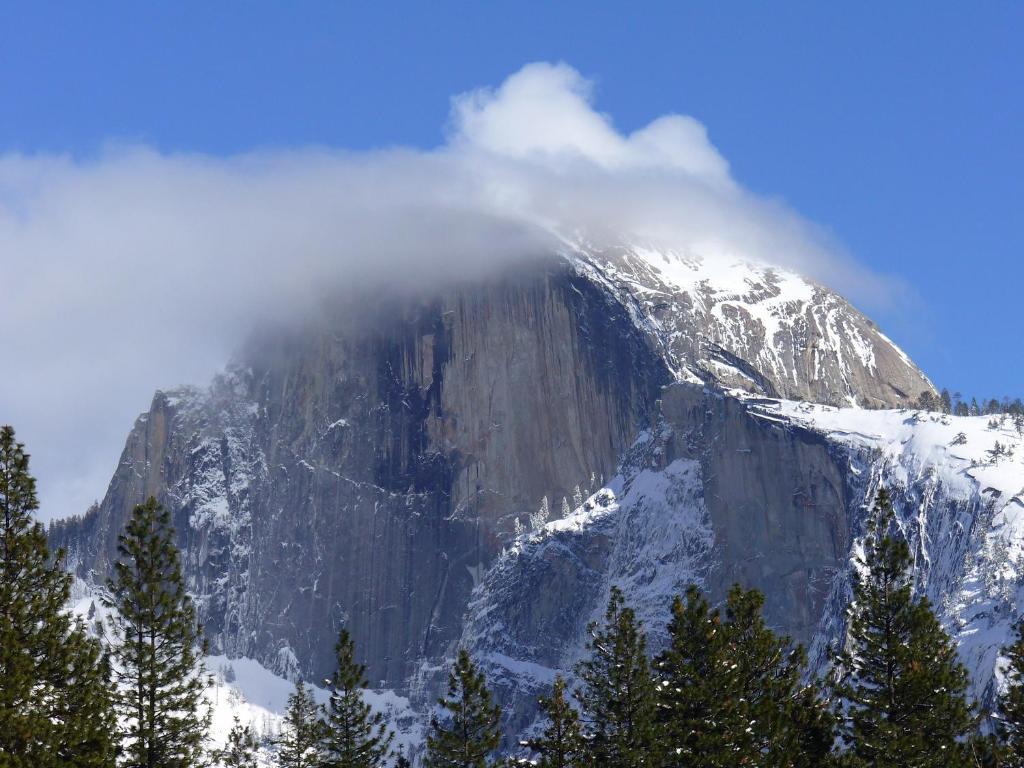 Yosemite Sierra View Bed & Breakfast Oakhurst Eksteriør billede