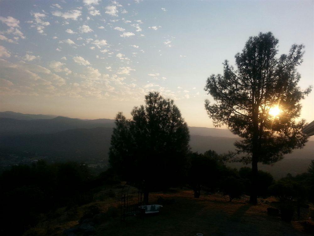 Yosemite Sierra View Bed & Breakfast Oakhurst Eksteriør billede
